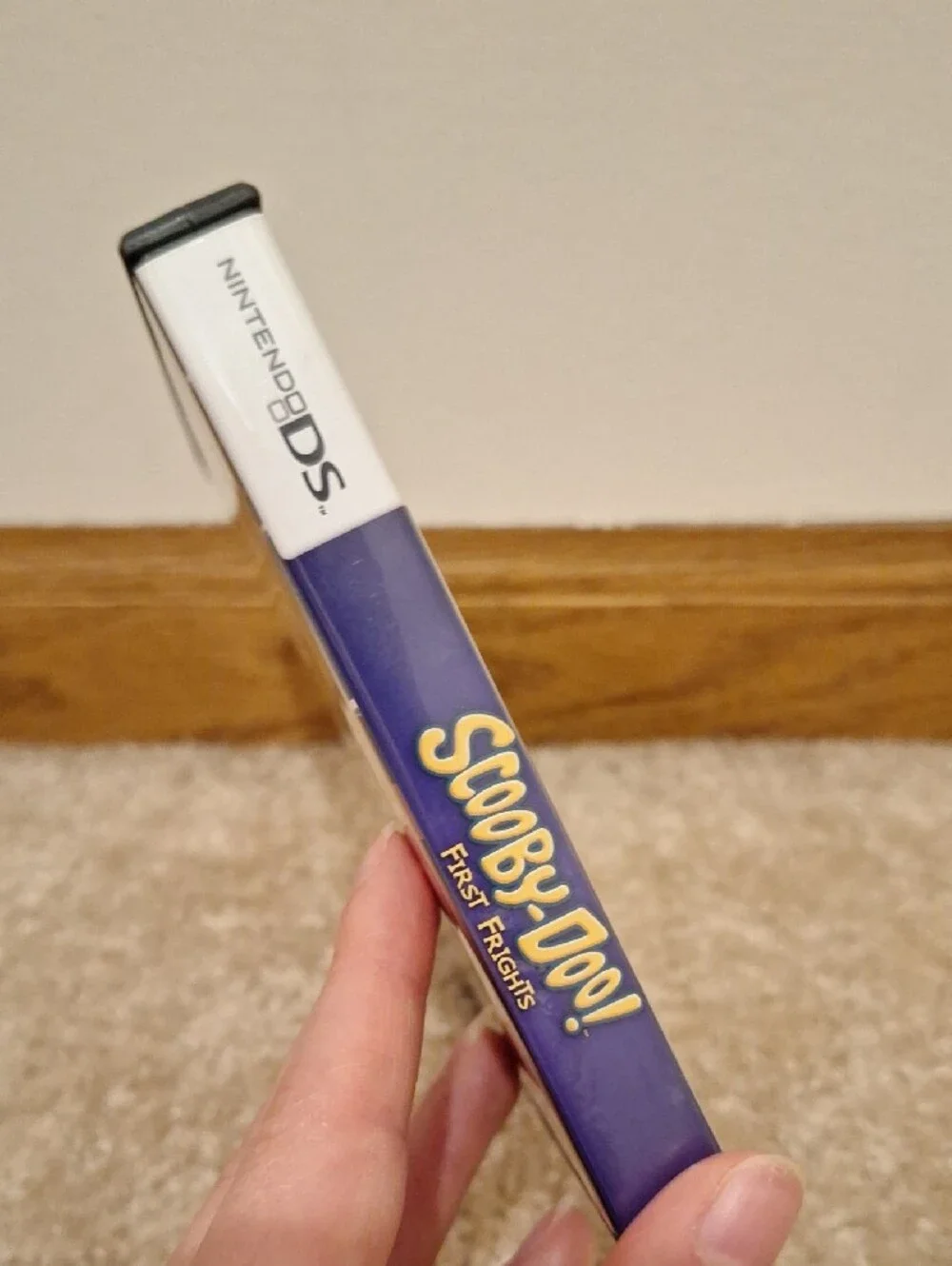 Nintendo DS Scooby-Doo! First Frights Game